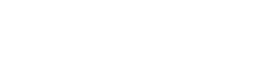 saying CONVERSION CATALYST